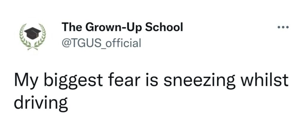 My biggest fear is sneezing whilst driving